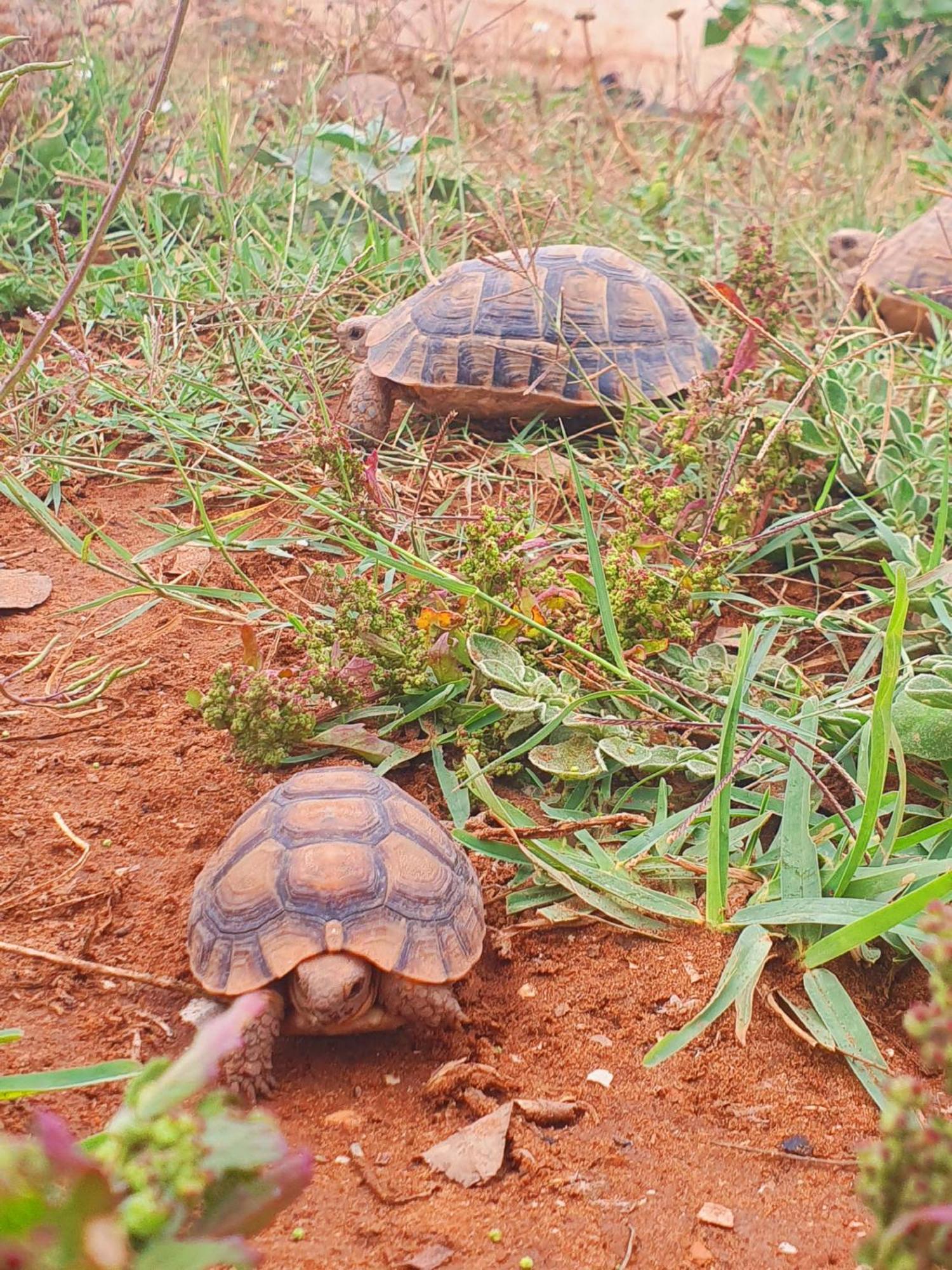 L'Experience Berbere Villa Agadir Kültér fotó